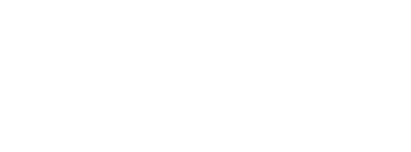 THE EXPRESS